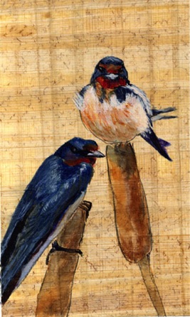 2 Barn Swallows
Watercolor - 4"x7.5"