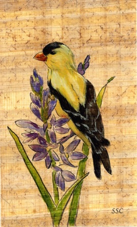 Goldfinch and Camas
Watercolor - 4"x7.25"