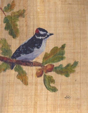 Downy Woodpecker on 
Garry Oak Branch
Watercolor -8"x10"